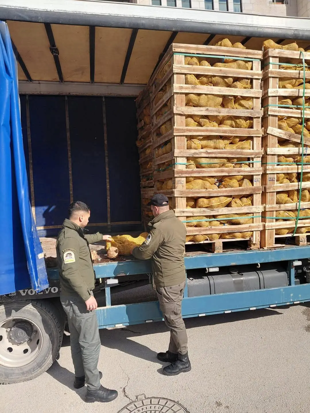 ضبط 5 أطنان من جوز الهند التالف داخل محل تجاري في نابلس